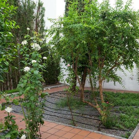 Apartamento De Lujo En Antiguo Convento Grenada Zewnętrze zdjęcie